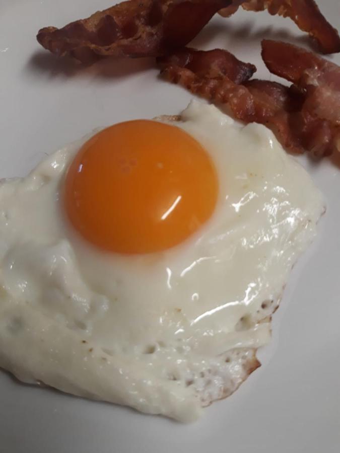 ホテル Rifugio Escursionistico La Sousto Dal Col Elva エクステリア 写真
